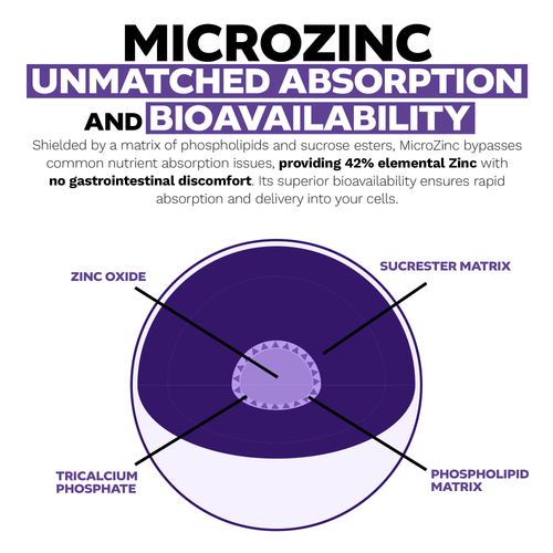 MicroZinc Capsules | Optimized Zinc 20mg 30kap