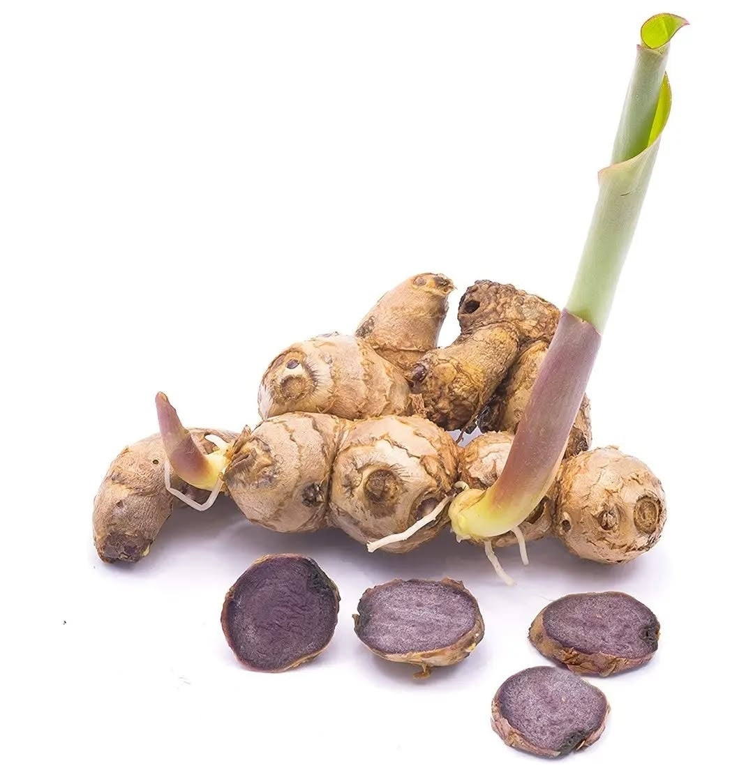 50g FREEZE DRIED BLACK GINGER fra Addictive Wellness