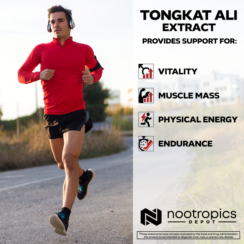Tongkat Ali Extract 60 kapsler | 2% Eurycomanone