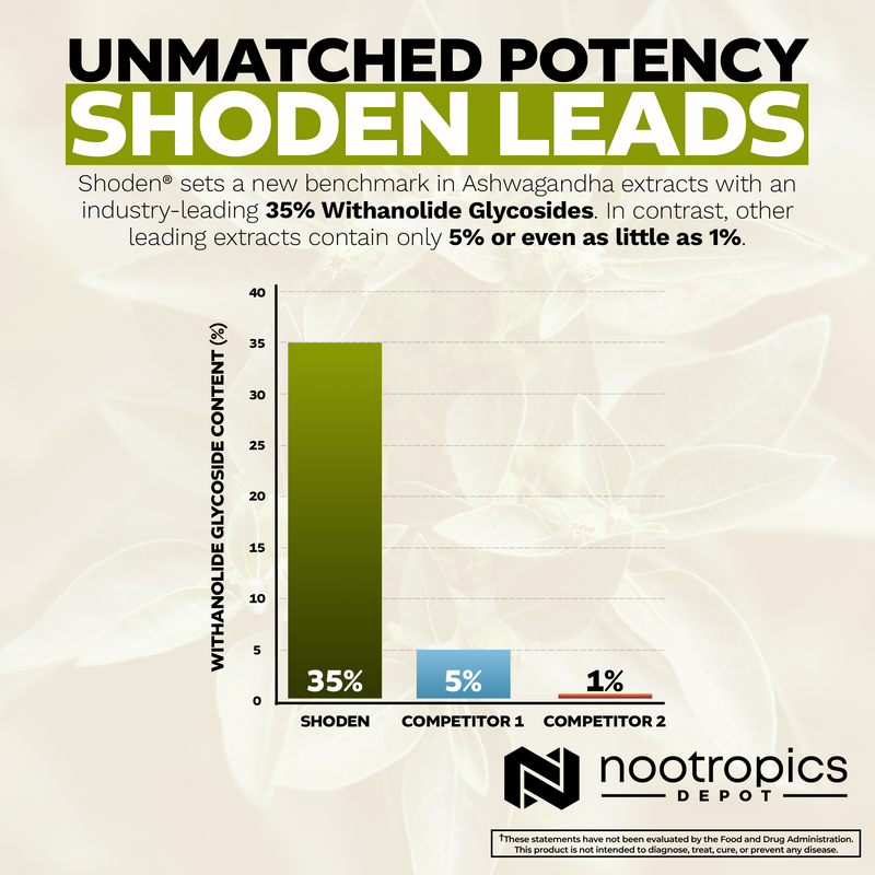 Shoden® Ashwagandha 30 Capsules