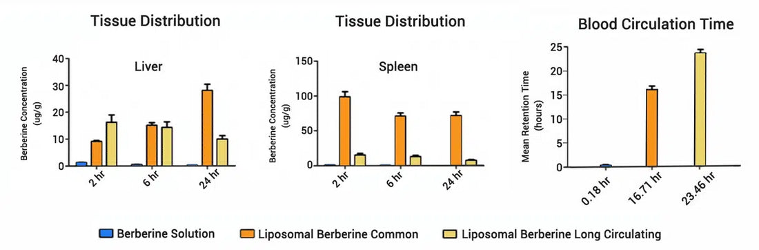 Berberine (Liposomal) 90 kap